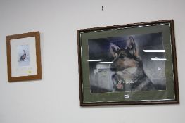 A PASTEL SKETCH OF A GERMAN SHEPHERD, 40cm x 54cm (not including mount), together with a print after