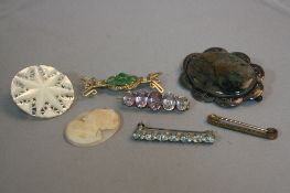 A JEWELLERY COLLECTION , to include a large red moss agate silver brooch, a base metal graduated