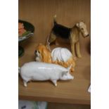 A BESWICK AIREDALE TERRIER 'Cast Iron Monarch' No 962, a Beswick Sow Ch 'Wall Queen 40th' No