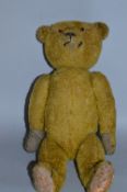 A SHORT HAIRED TEDDY BEAR, plastic eyes (s.d.), horizontal stitched nose, s.d. to mouth, jointed