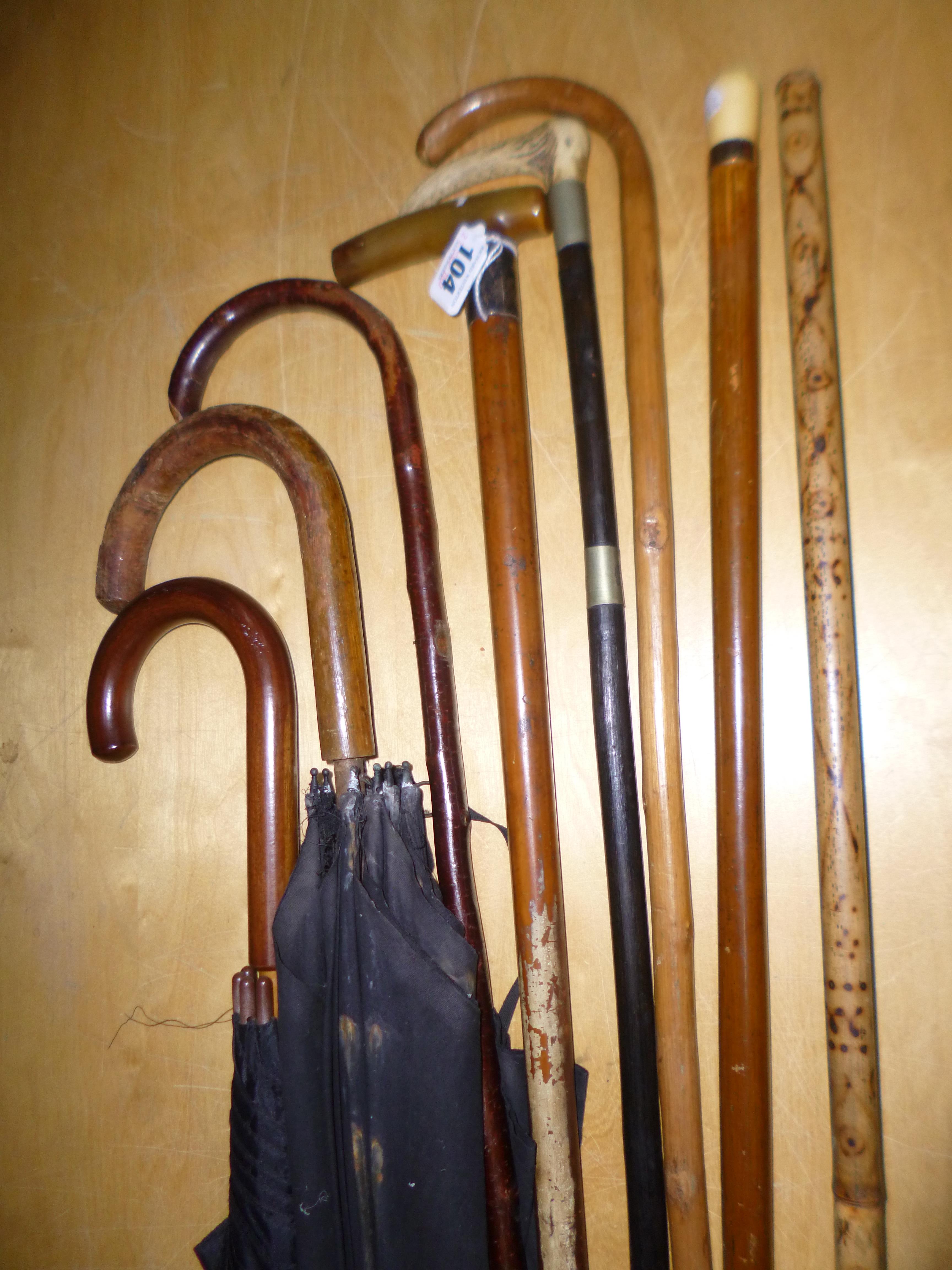 AN EARLY 20TH CENTURY MALACCA WALKING CANE, with ivory top and 9ct gold mount, length - Image 2 of 6