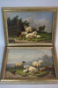 JOSEPH VAN DIEGHEM (BELGIAN 1843-1885), sheep and poultry by a wooden fence and companion study of