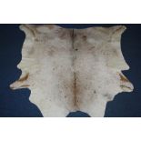 A COW HIDE RUG, originated from South America, AA grade caramel brown and white ground,