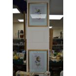 A PAIR OF NEEDLEWORK PICTURES OF A GOLDFINCH AND TWO BLUE TITS, framed and glazed (2)