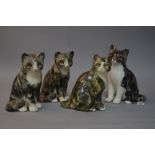 FOUR WINSTANLEY CATS, all seated with glass eyes, tallest height 21.5cm (chip to ear on one and