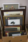 PAINTINGS AND PRINTS, two watercolours of a Long Tailed Tit and a crested duck by S.C.Mason,