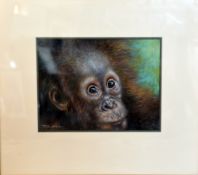 AFTER JOEL KIRK, untitled, a print of a baby ape, 31cm x 24cm, framed
