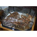 A DISTRESSED WALL DISPLAY CASE, displaying two taxidermy Woodcock birds