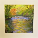 AFTER MARK PRESTON, 'Reflection of Autumn', a limited edition print signed and numbered by the