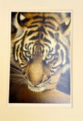 AFTER PIP MCGARRY, 'Eye of the Tiger', a limited edition print 100/195, signed, titled and