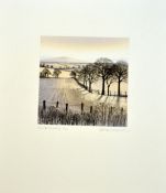 AFTER KATHLEEN CADDICK, 'Winter Shadows', a limited edition print 2/250, signed, numbered and titled