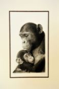 AFTER WENDY CORBETT, 'Safe In The Arms...', a limited edition print 42/495, signed and numbered,