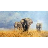 AFTER DAVID SHEPHERD OBE FRSA, 'Savuti Elephants', an artist proof print 5/5 giclee on canvas,