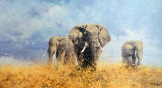 AFTER DAVID SHEPHERD OBE FRSA, 'Savuti Elephants', an artist proof print 5/5 giclee on canvas,