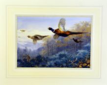 AFTER ARCHIBALD THORBURN, 'Pheasants in Flight', a limited edition print 33/195, 43cm x 30cm, with