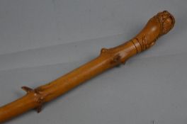 A VICTORIAN TREEN WALKING CANE, the handle carved in the form of a lion, with inset glass eyes,