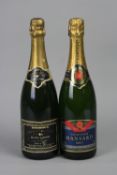 A COLLECTION OF TWELVE BOTTLES OF ASSORTED SPARKLING WINES/CAVA'S, including Freixenet, CP and