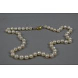 A MODERN CULTURED PEARL SINGLE ROW NECKLET, measuring approximately 280mm in length, strung