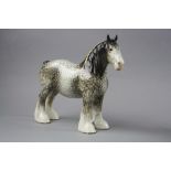 A BESWICK SHIRE HORSE, No.818, rocking horse grey, (restored ears)