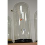 A LARGE 19TH CENTURY GLASS DOME, on circular footed base, overall height approximately 50cm