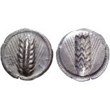 Lucania, Metapontion AR Stater. Circa 540-510 BC. Ear of barley with seven grains; ME-TA around /