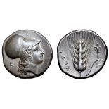 Lucania, Metapontion AR Stater. Circa 340-330 BC. Head of Athena Tharragoras right, wearing