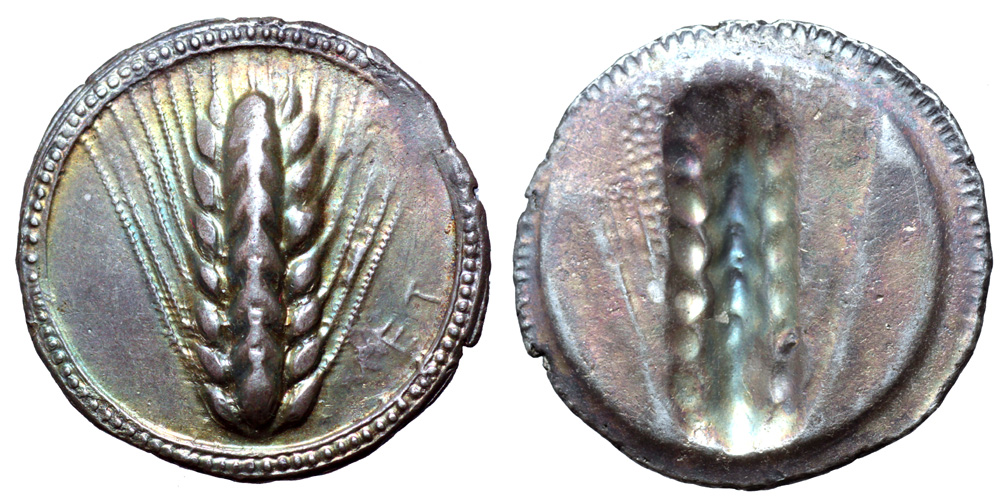 Lucania, Metapontion AR Stater. Circa 540-510 BC. Ear of barley with eight grains on each side;