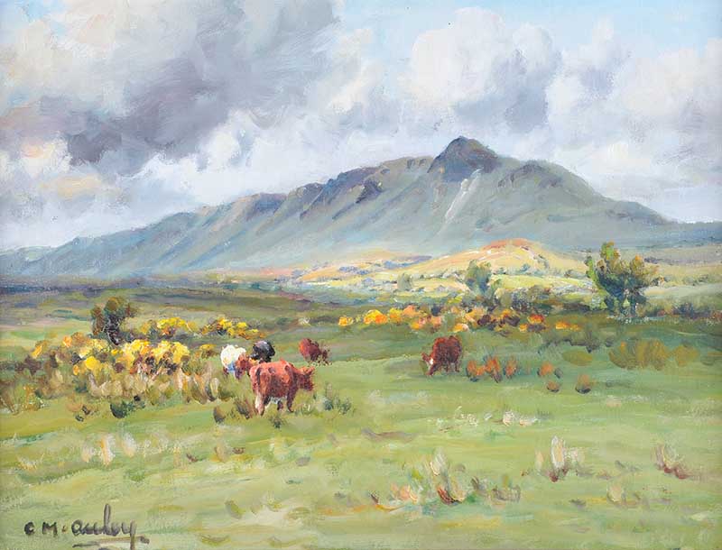 Charles McAuley - CATTLE GRAZING, TIEVEBULLIAGH - Oil on Canvas - 12 x 16 inches - Signed