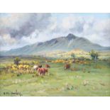 Charles McAuley - CATTLE GRAZING, TIEVEBULLIAGH - Oil on Canvas - 12 x 16 inches - Signed