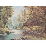 Denis Thornton - TOLLYMORE FOREST - Coloured Print on Canvas - 12 x 16 inches - Unsigned