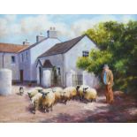 Noel Shaw - LETTING OUT THE SHEEP - Oil on Canvas - 16 x 20 inches - Signed