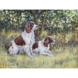 Donna Crawshaw - TWO SPRINGERS - Oil on Board - 12 x 16 inches - Signed