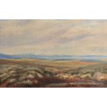 Andrew Nicholl, RHA - DISTANT VIEW OF A LAKESIDE TOWN - Watercolour Drawing - 16 x 26 inches -