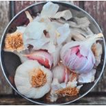 Joshua James - GARLIC - Photograph on Canvas - 31.5 x 31.5 inches - Unsigned