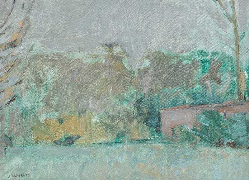 Basil Blackshaw, HRHA HRUA - DUNADRY LANDSCAPE - Oil on Canvas - 10 x 14 inches - Signed