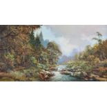 Denis Thornton - RIVER IN TOLLYMORE FOREST - Oil on Canvas - 16 x 30 inches - Signed