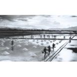 Long Thanh - RICE FIELDS - Black & White Photograph -10 x 16 inches - Signed