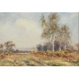 Wycliffe Egginton, RI RCA - MOORLAND, NORTH WALES - Watercolour Drawing - 14 x 20 inches - Signed