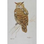 Rowel Friers, HRUA - EAGLE OWL - Watercolour Drawing - 19 x 12 inches - Signed