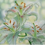 Ros Wilson, British, late 20th/early 21st century- Lilies; acrylic on canvas, signed, 61x61cm: