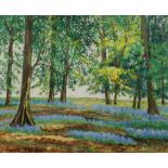 Anne Norfolk, British, late 20th/early 21st century- Bluebell woods; oil on canvas, signed, 49.