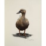 Imogen Man, British b.1984- 'Mildred the Duck'; 2014, pastel on paper, signed and dated lower