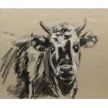 Imogen Man, British b.1984- 'Suka the Cow'; white chalk and black charcoal on paper, signed lower