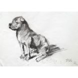 James Hollis, British, b.1977- A portrait of a staffordshire bulldog; charcoal on paper, signed