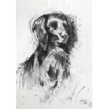 James Hollis, British, b.1977- A portrait of a dog; charcoal on paper, signed lower right,