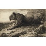 Herbert Thomas Dicksee RE, British 1862-1942- "Lioness on a Rock"; etching, signed in pencil,