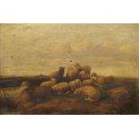 Follower of Thomas Sydney Cooper RA, British 1803-1902- Sheep in a field; oil on canvas,