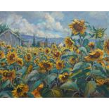 Mary Towsey, British, late 20th century- "Les Tournesols Sandrancourt"; oil on canvas,