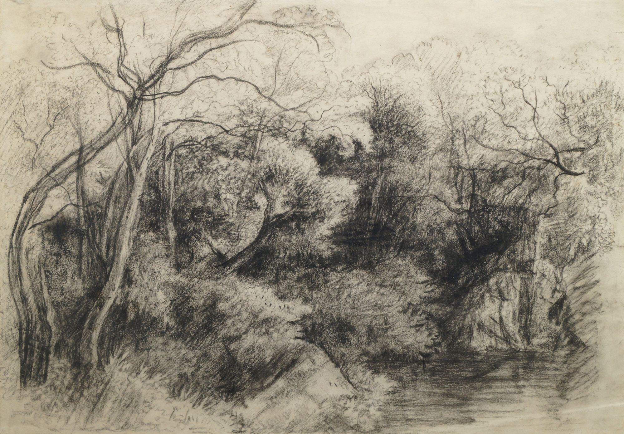 Attributed to George Frost, British 1754-1821- Trees beside a pool; black chalk, 29.5x42.5cm: