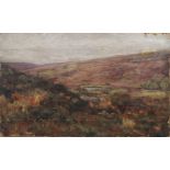 George Edward Cook, British act. 1880-1905- View of heathland; oil on canvas, signed and dated 1877,